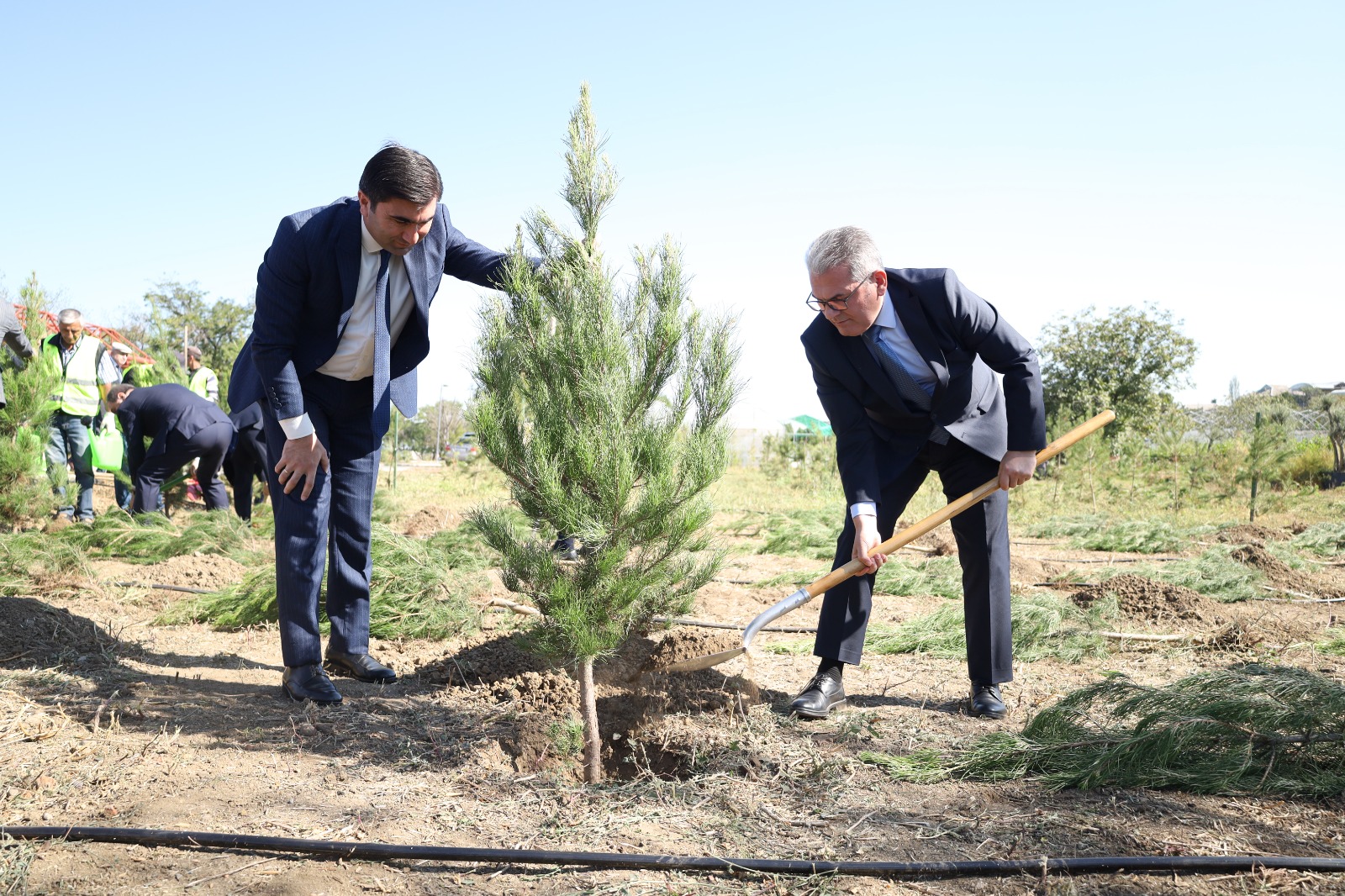 Gəncədə Anım Gününə həsr olunmuş ağacəkmə aksiyası - FOTOLAR 19 Gəncədə Anım Gününə həsr olunmuş ağacəkmə aksiyası - FOTOLAR