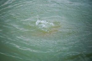 Kürdə batan yeniyetmənin meyiti tapıldı