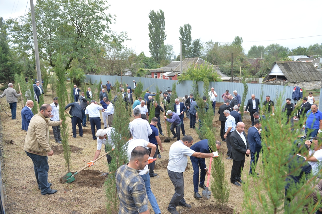 Lənkəranda ağacəkmə aksiyası keçirildi - FOTOLAR