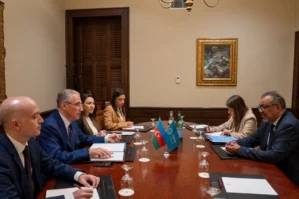 COP29 prezidenti ÜST-ün rəhbəri ilə bu məsələni müzakirə etdi - FOTO