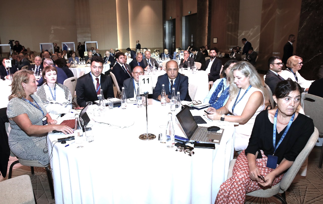 Bakıda beynəlxalq konfrans keçirilir - FOTOLAR