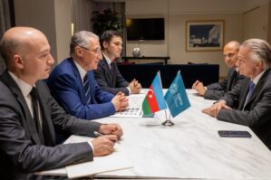 COP29-un prezidenti Kosta-Rikanın XİN başçısı ilə iqlim prioritetlərini müzakirə edib