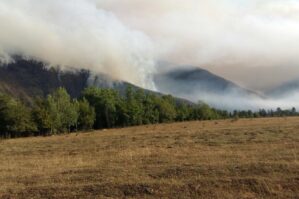 Şahbuz və Kəngərlidə yanğınlar baş verdi
