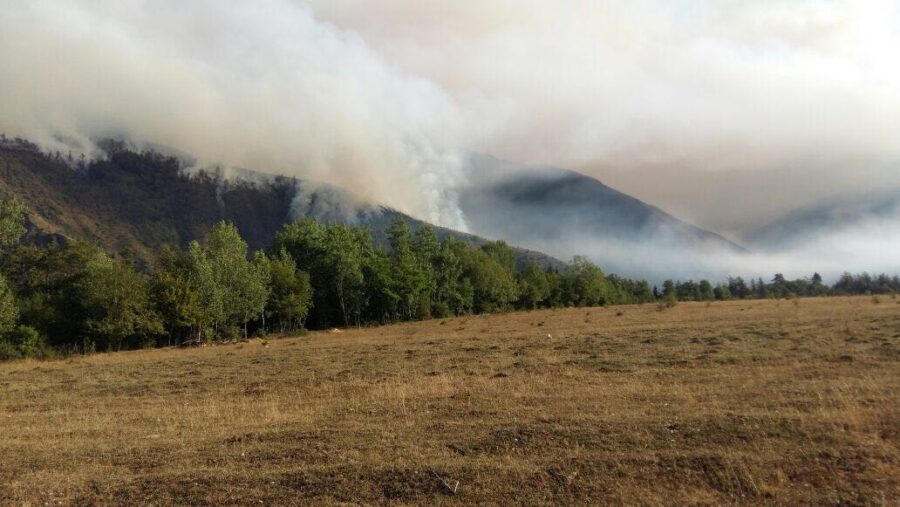 Şahbuz və Kəngərlidə yanğınlar baş verdi