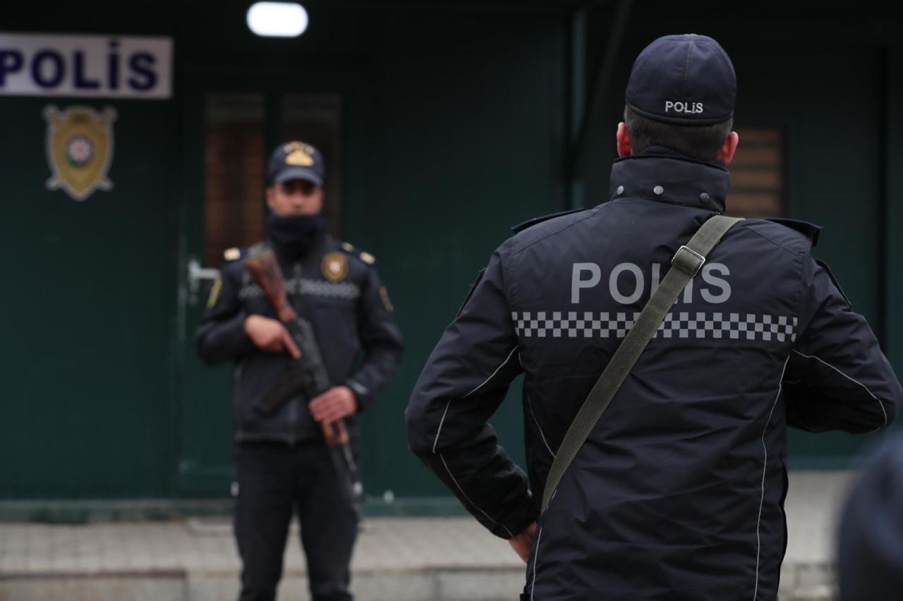 pol 113