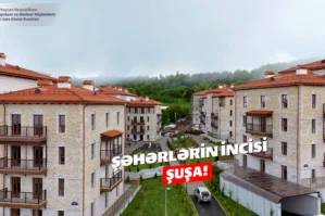 susa 0