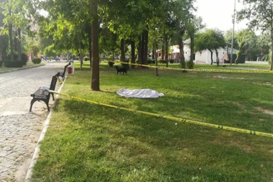 Bakıda parkdan meyit tapıldı 1 Bakıda parkdan meyit tapıldı