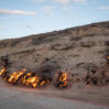yanardag