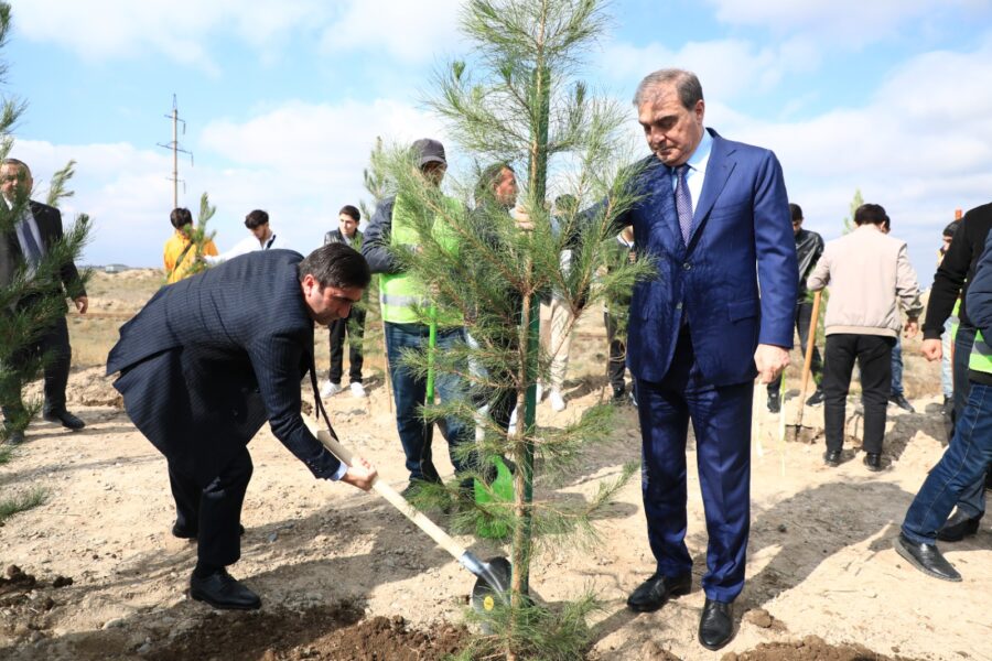 “Yaşıl dünya naminə həmrəylik ili”: Gəncədə ağacəkmə aksiyası keçirilir - FOTOLAR