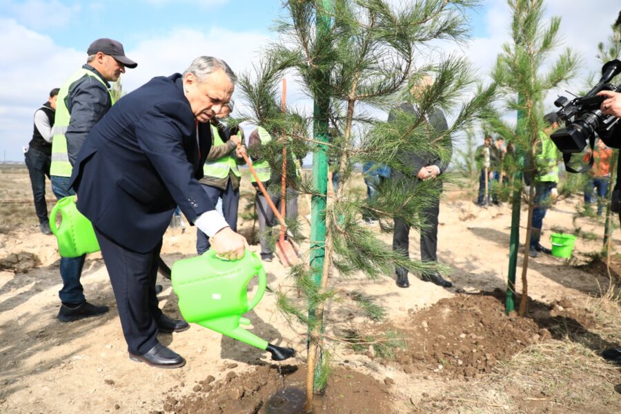 “Yaşıl dünya naminə həmrəylik ili”: Gəncədə ağacəkmə aksiyası keçirilir - FOTOLAR