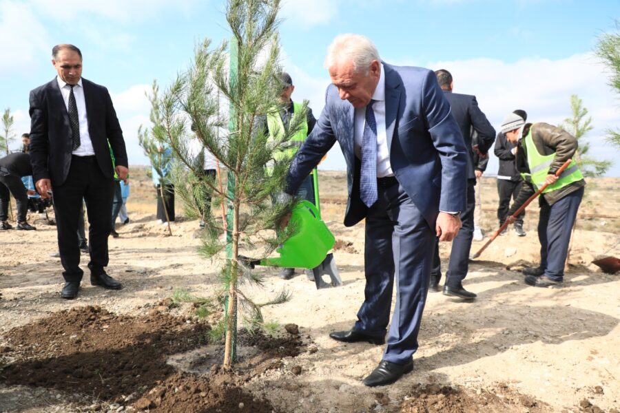 “Yaşıl dünya naminə həmrəylik ili”: Gəncədə ağacəkmə aksiyası keçirilir - FOTOLAR