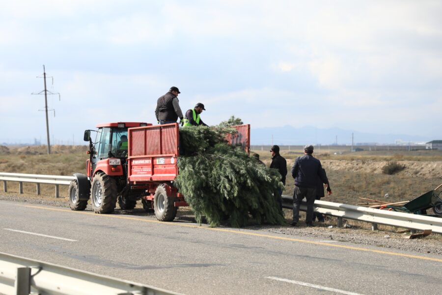 “Yaşıl dünya naminə həmrəylik ili”: Gəncədə ağacəkmə aksiyası keçirilir - FOTOLAR