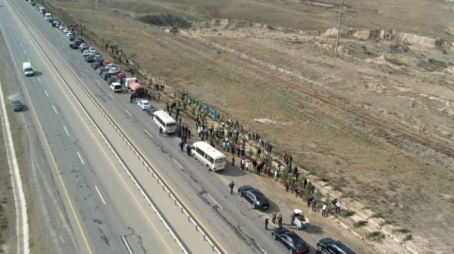 “Yaşıl dünya naminə həmrəylik ili”: Gəncədə ağacəkmə aksiyası keçirilir - FOTOLAR