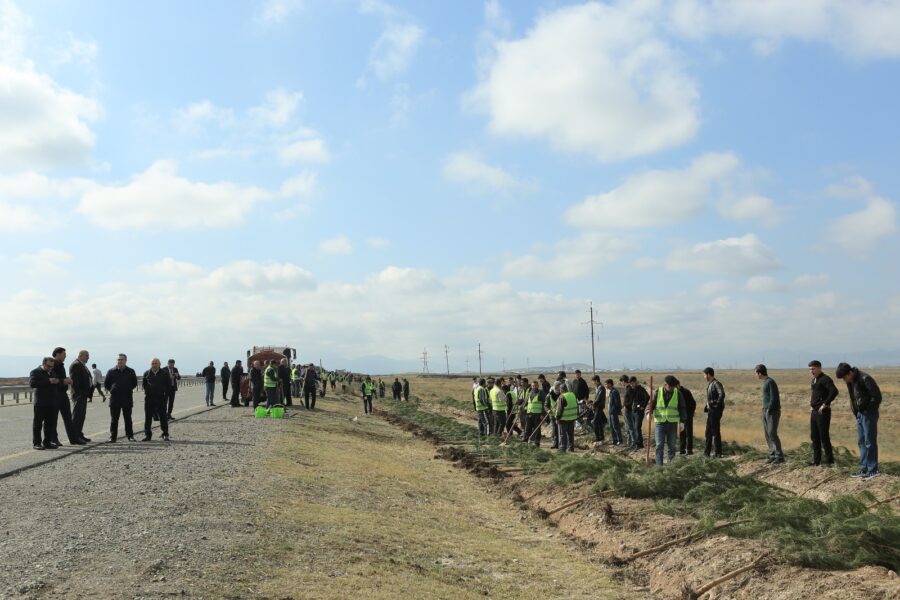 “Yaşıl dünya naminə həmrəylik ili”: Gəncədə ağacəkmə aksiyası keçirilir - FOTOLAR