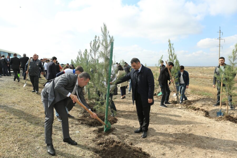 “Yaşıl dünya naminə həmrəylik ili”: Gəncədə ağacəkmə aksiyası keçirilir - FOTOLAR