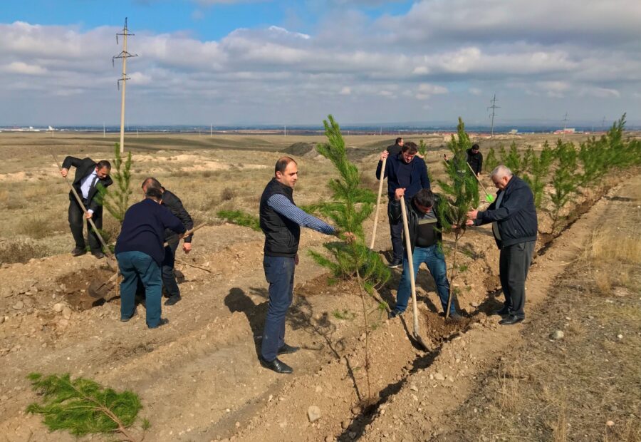 “Yaşıl dünya naminə həmrəylik ili”: Gəncədə ağacəkmə aksiyası keçirilir - FOTOLAR