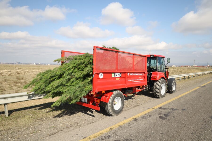 “Yaşıl dünya naminə həmrəylik ili”: Gəncədə ağacəkmə aksiyası keçirilir - FOTOLAR