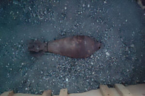 Naxçıvanda sursatlar aşkarlandı - VİDEO