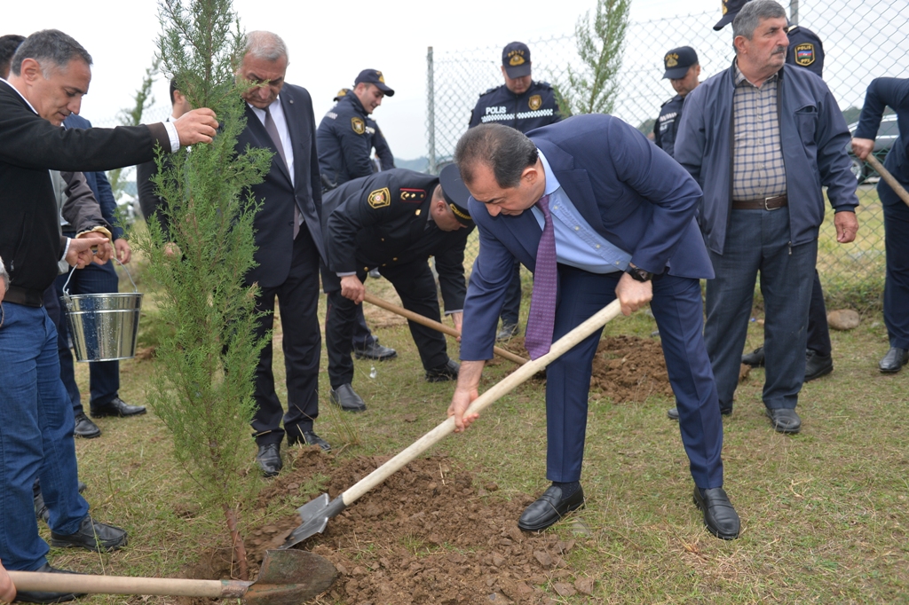 Lənkəranda iki min ağac əkildi - FOTOLAR