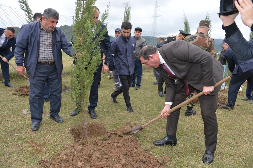 Lənkəranda iki min ağac əkildi - FOTOLAR