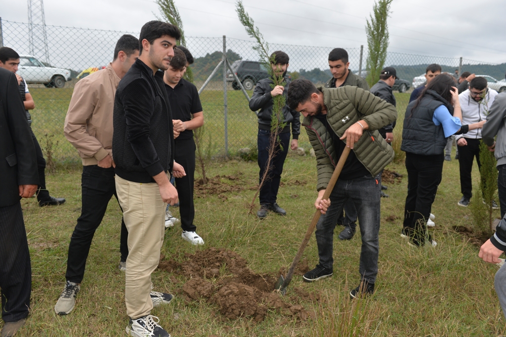 Lənkəranda iki min ağac əkildi - FOTOLAR