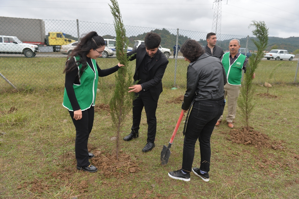 Lənkəranda iki min ağac əkildi - FOTOLAR