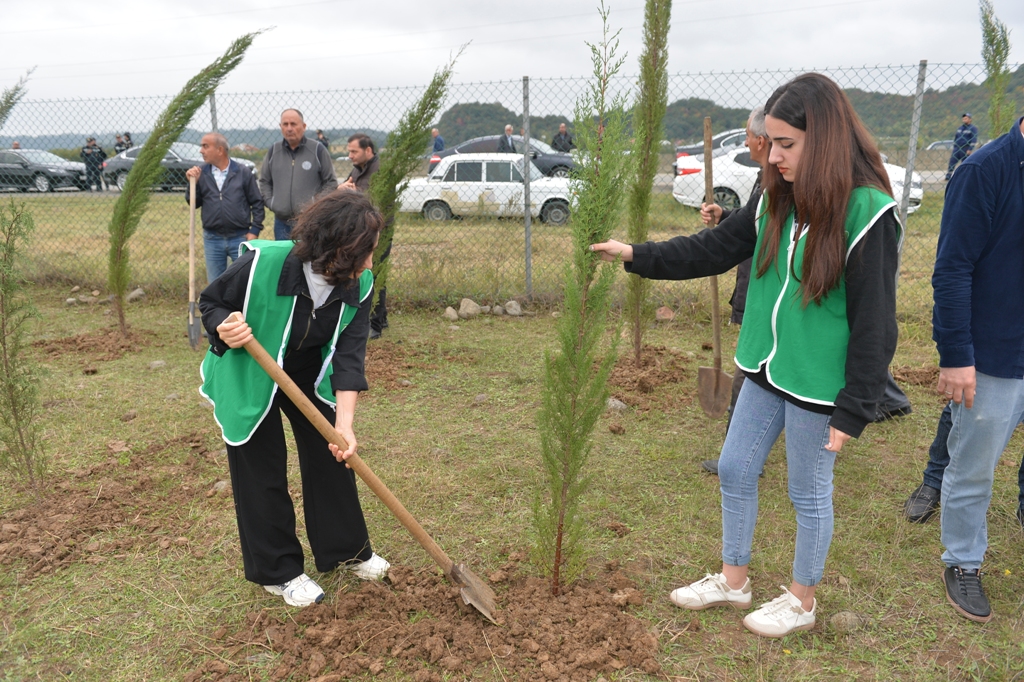 Lənkəranda iki min ağac əkildi - FOTOLAR