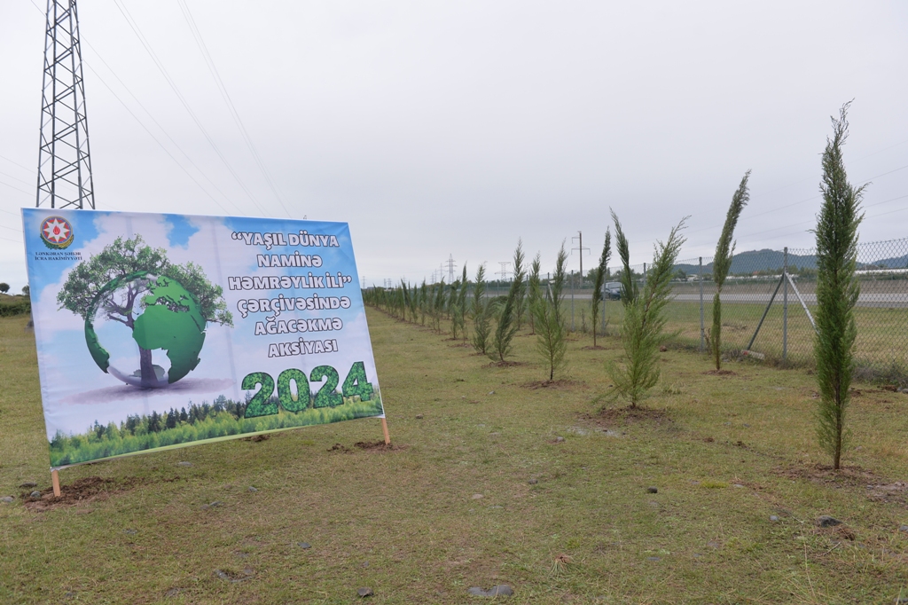 Lənkəranda iki min ağac əkildi - FOTOLAR