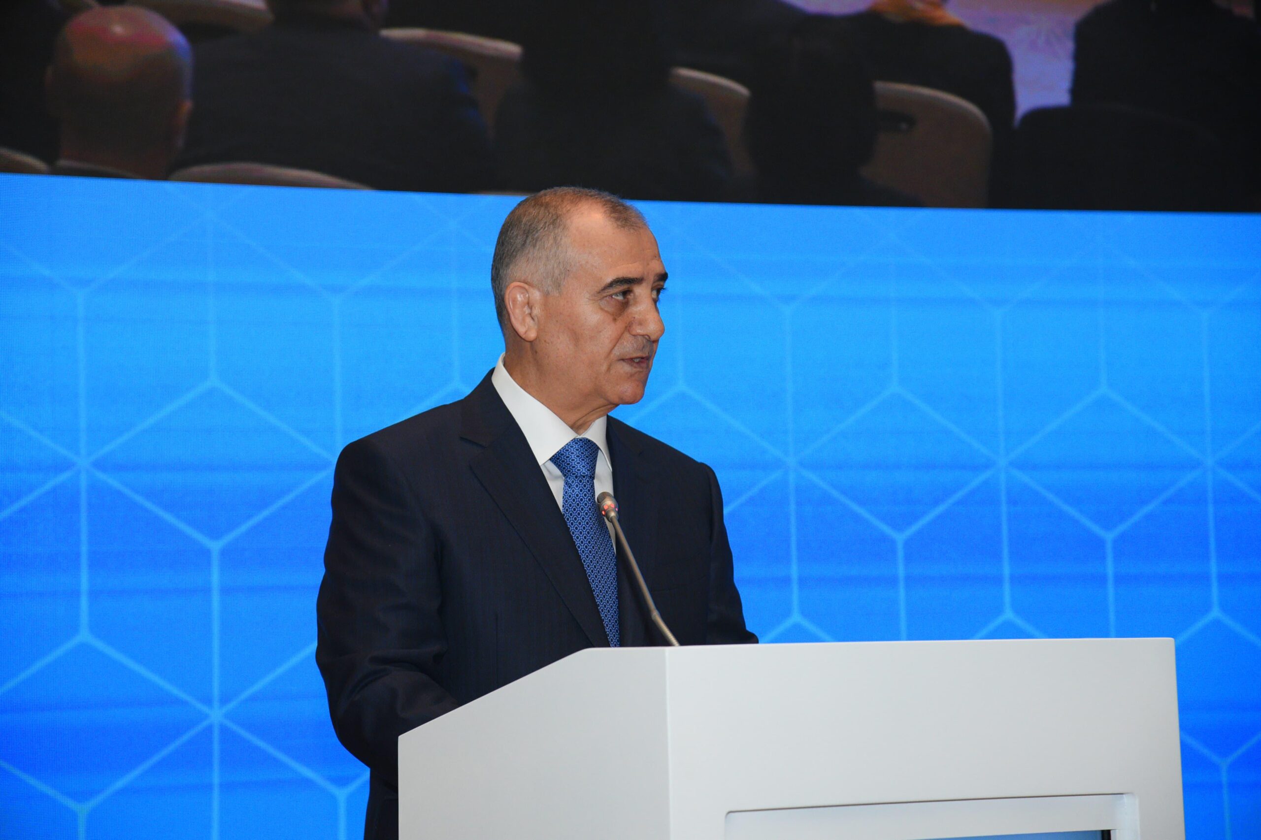 Bakıda konfrans keçirildi: bəyanat qəbul edildi - FOTOLAR