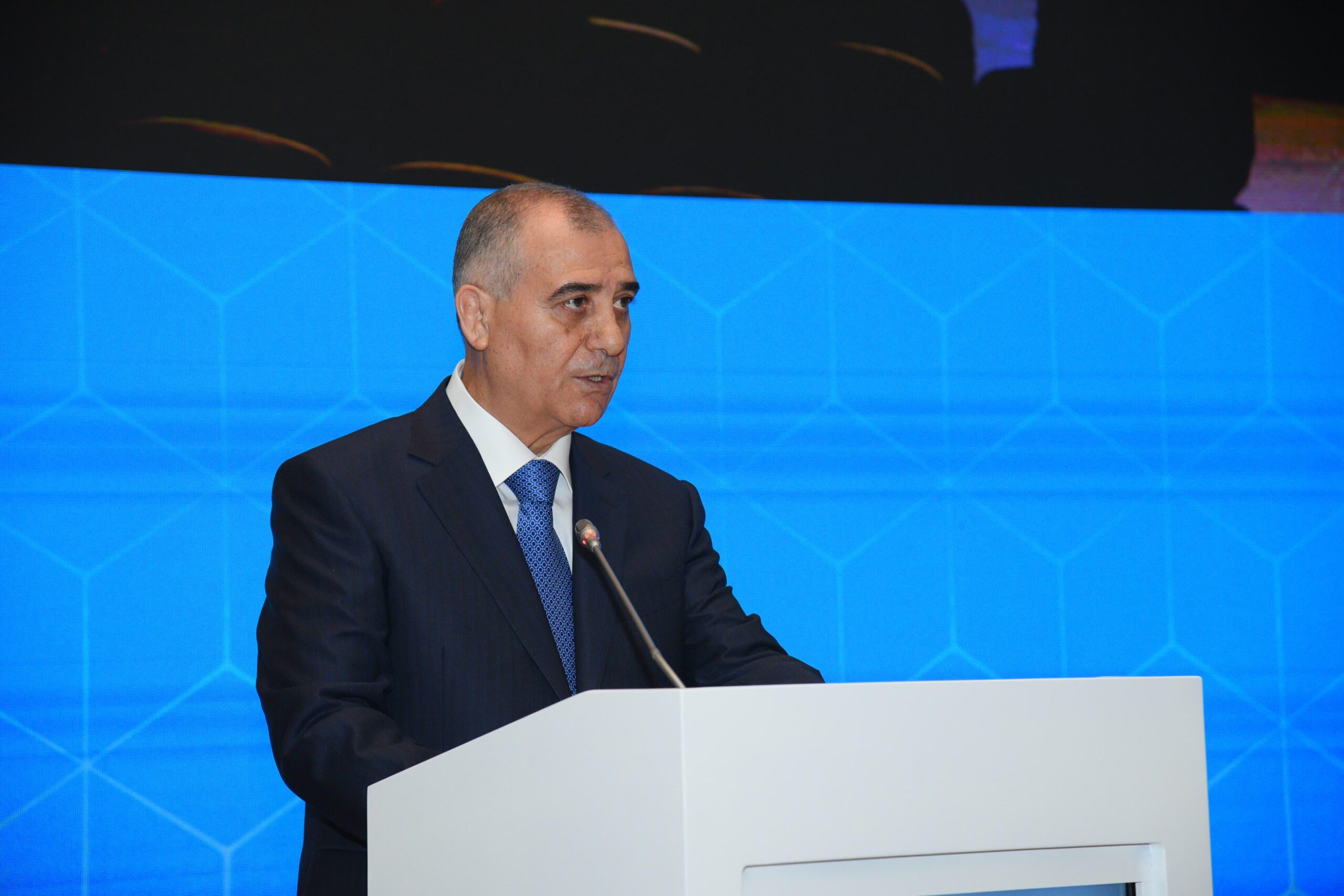 Bakıda konfrans keçirildi: bəyanat qəbul edildi - FOTOLAR