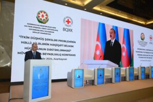 Bakıda konfrans keçirildi: bəyanat qəbul edildi - FOTOLAR