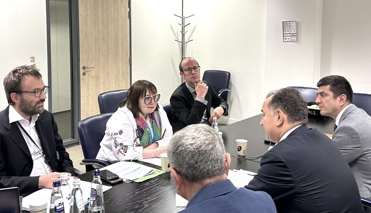 AHİK nümayəndə heyəti Brüsseldəki iclasda iştirak etdi - FOTOLAR