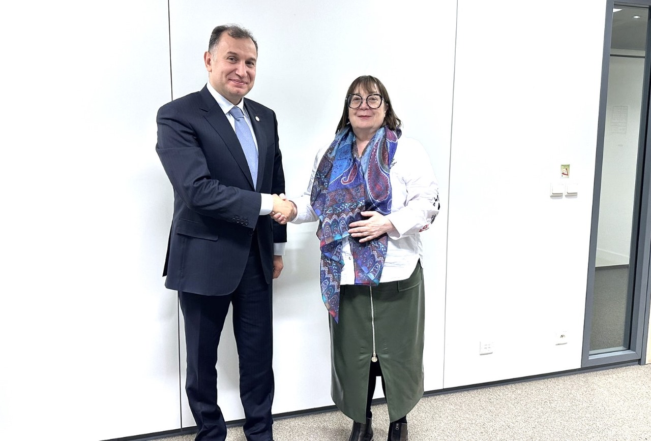 AHİK nümayəndə heyəti Brüsseldəki iclasda iştirak etdi - FOTOLAR