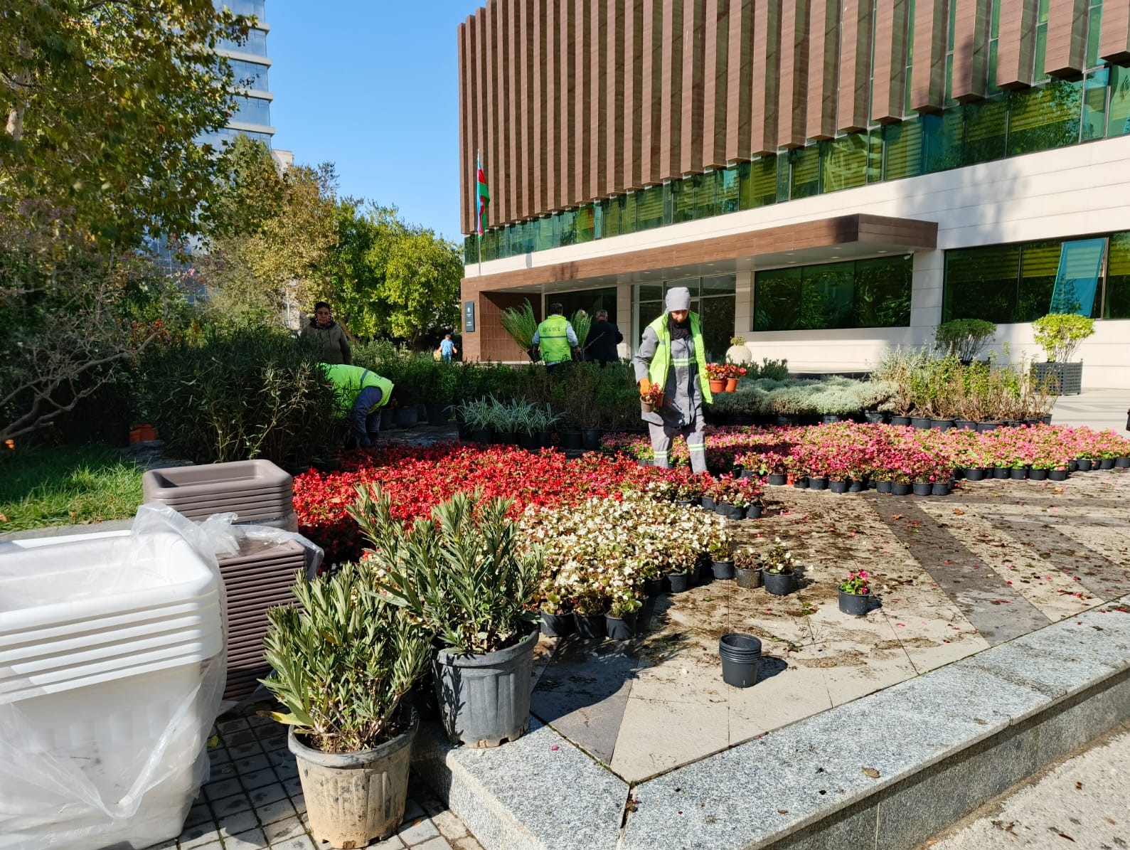 Xətaidə ağacəkmə aksiyası davam edir - FOTOLAR