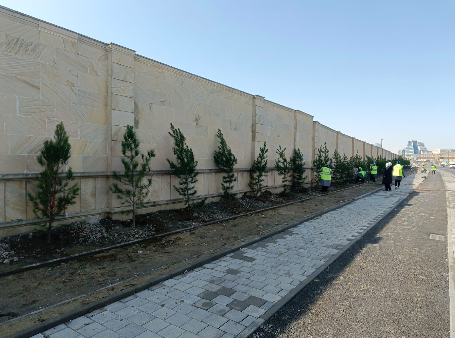 Xətaidə ağacəkmə aksiyası davam edir - FOTOLAR