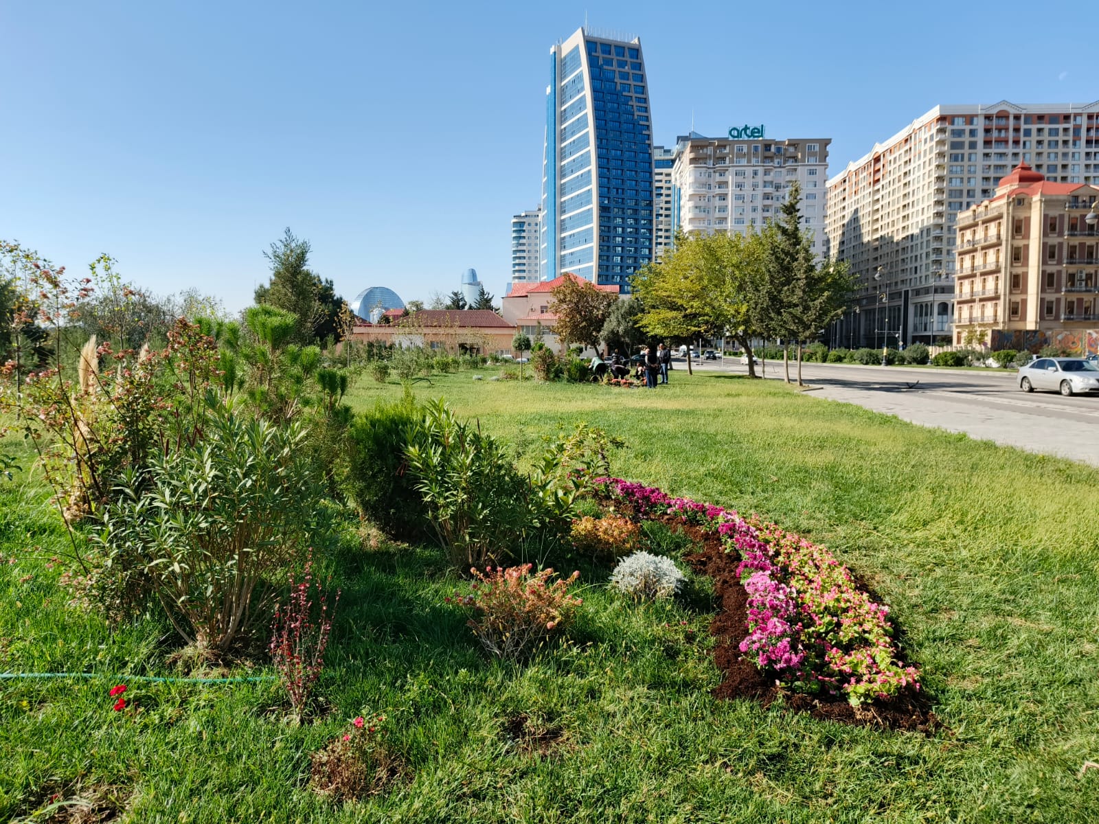 Xətaidə ağacəkmə aksiyası davam edir - FOTOLAR 16 Xətaidə ağacəkmə aksiyası davam edir - FOTOLAR