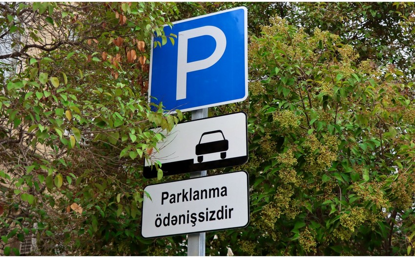 park 91