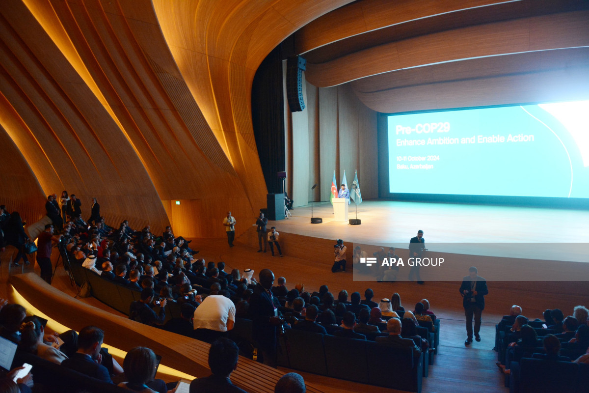 pre cop29