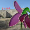 susa