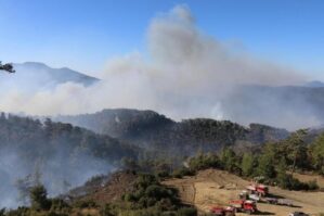 Türkiyədə meşə yanır: helikopterlər köməyə gəldi - VİDEO