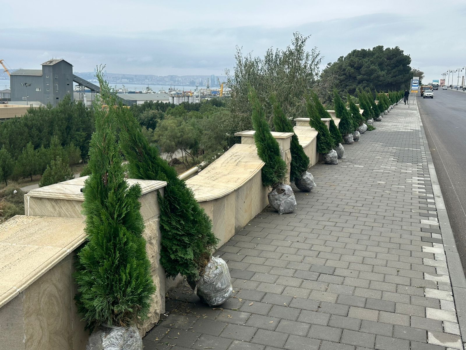 Xətaidə ağacəkmə aksiyasına start verildi - FOTOLAR