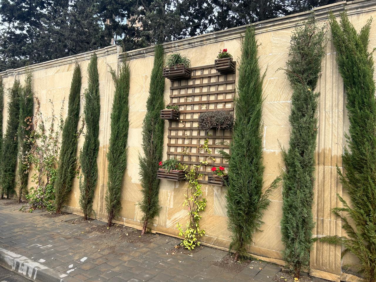 Xətaidə ağacəkmə aksiyasına start verildi - FOTOLAR