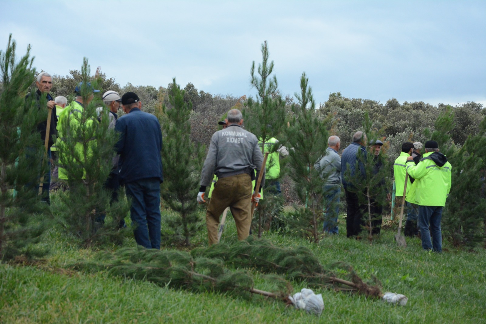 Xətaidə ağacəkmə aksiyasına start verildi - FOTOLAR