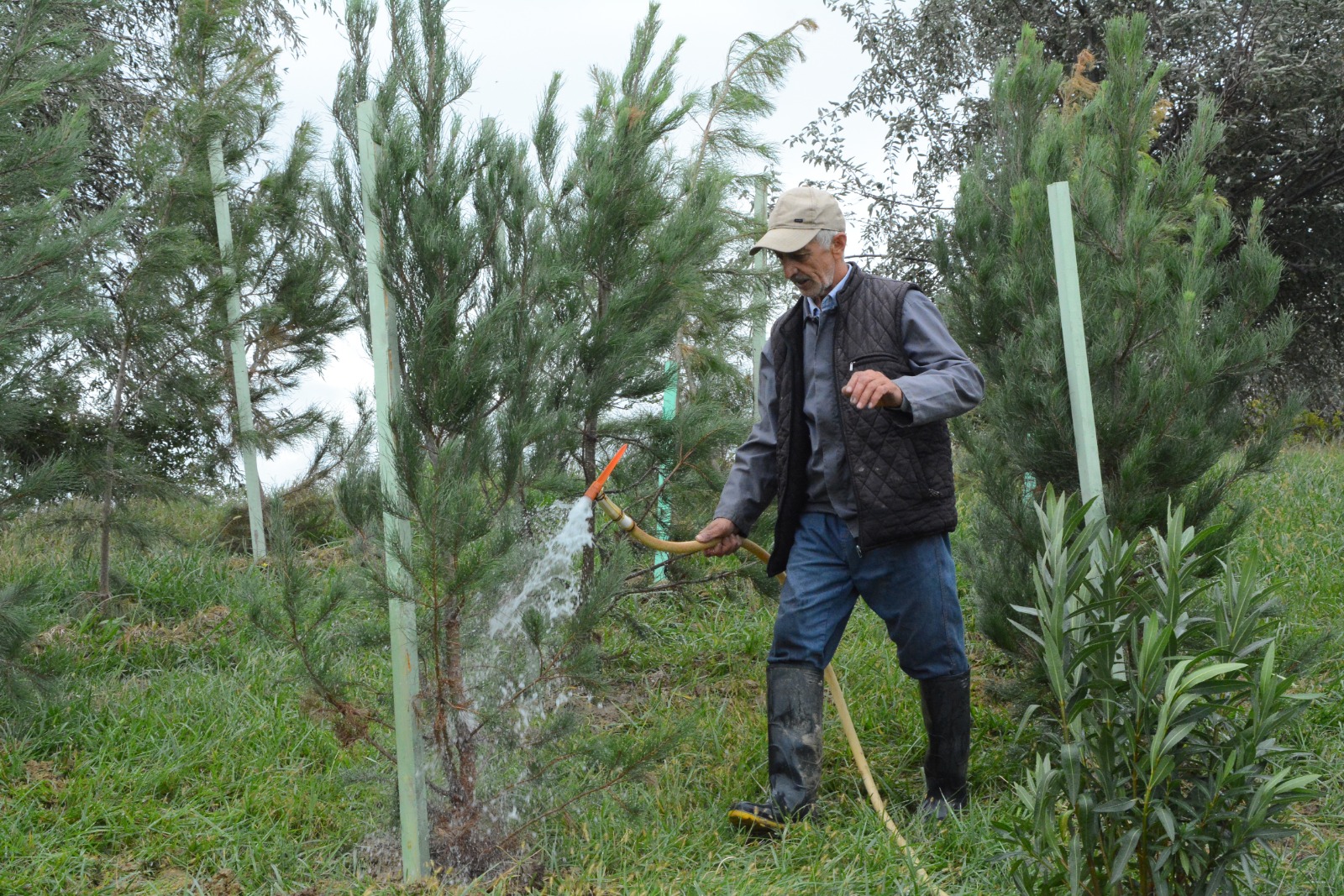Xətaidə ağacəkmə aksiyasına start verildi - FOTOLAR
