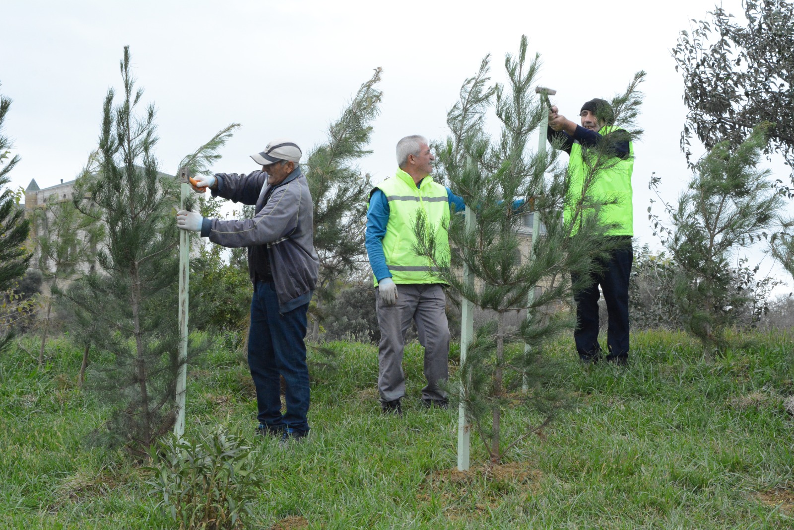 Xətaidə ağacəkmə aksiyasına start verildi - FOTOLAR
