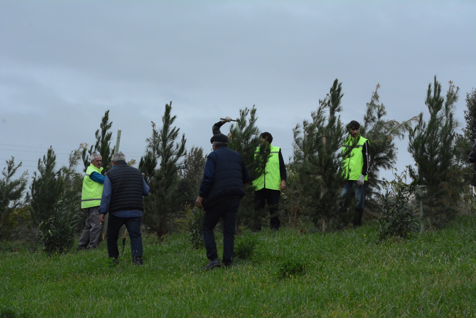 Xətaidə ağacəkmə aksiyasına start verildi - FOTOLAR