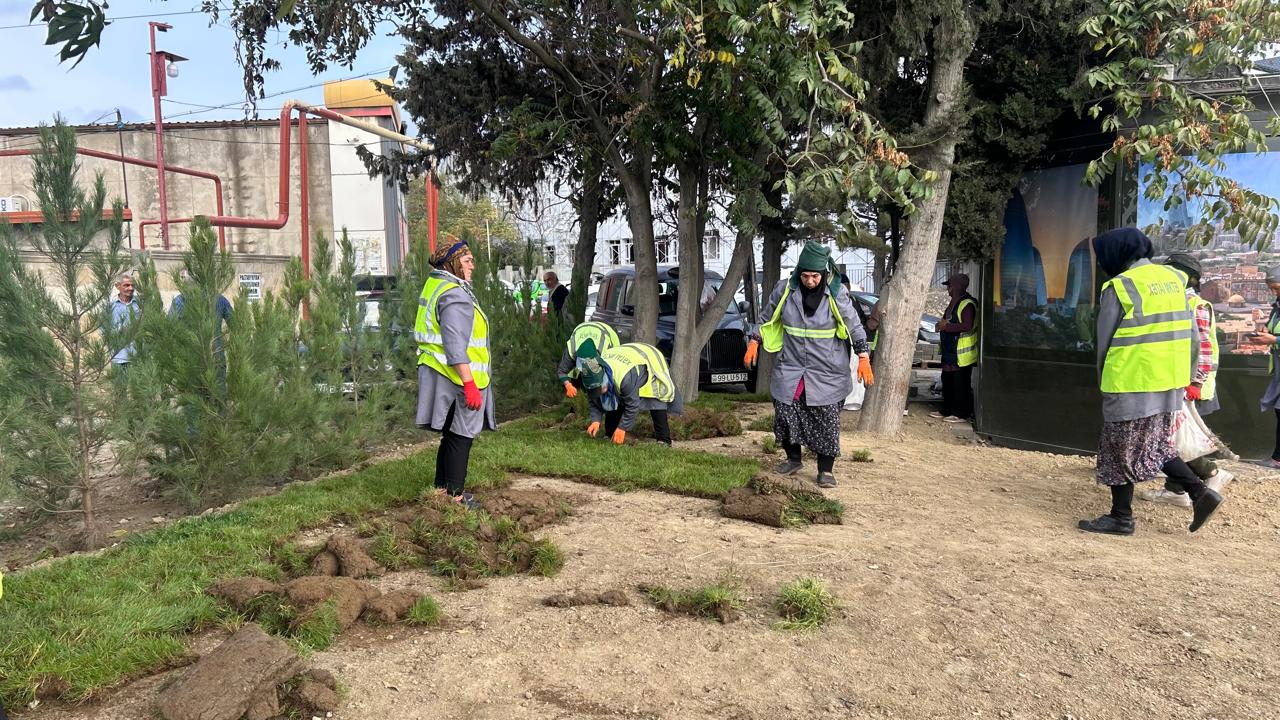 Xətaidə ağacəkmə aksiyasına start verildi - FOTOLAR