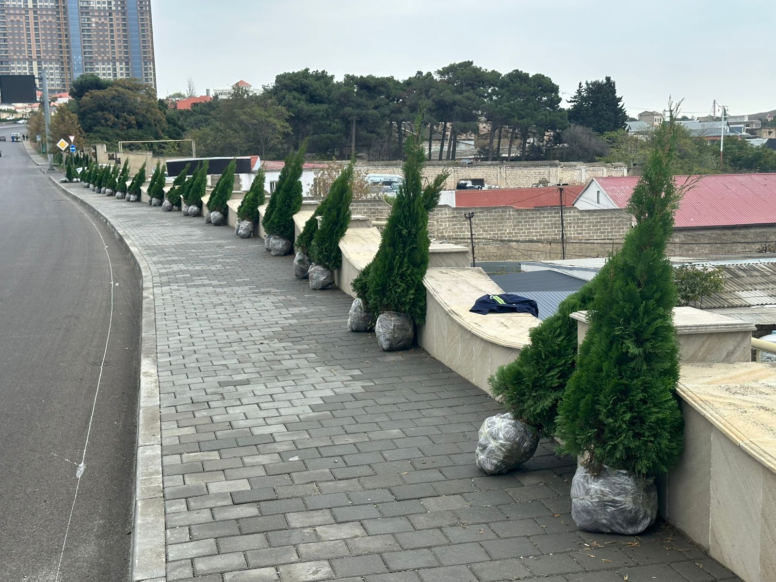 Xətaidə ağacəkmə aksiyasına start verildi - FOTOLAR