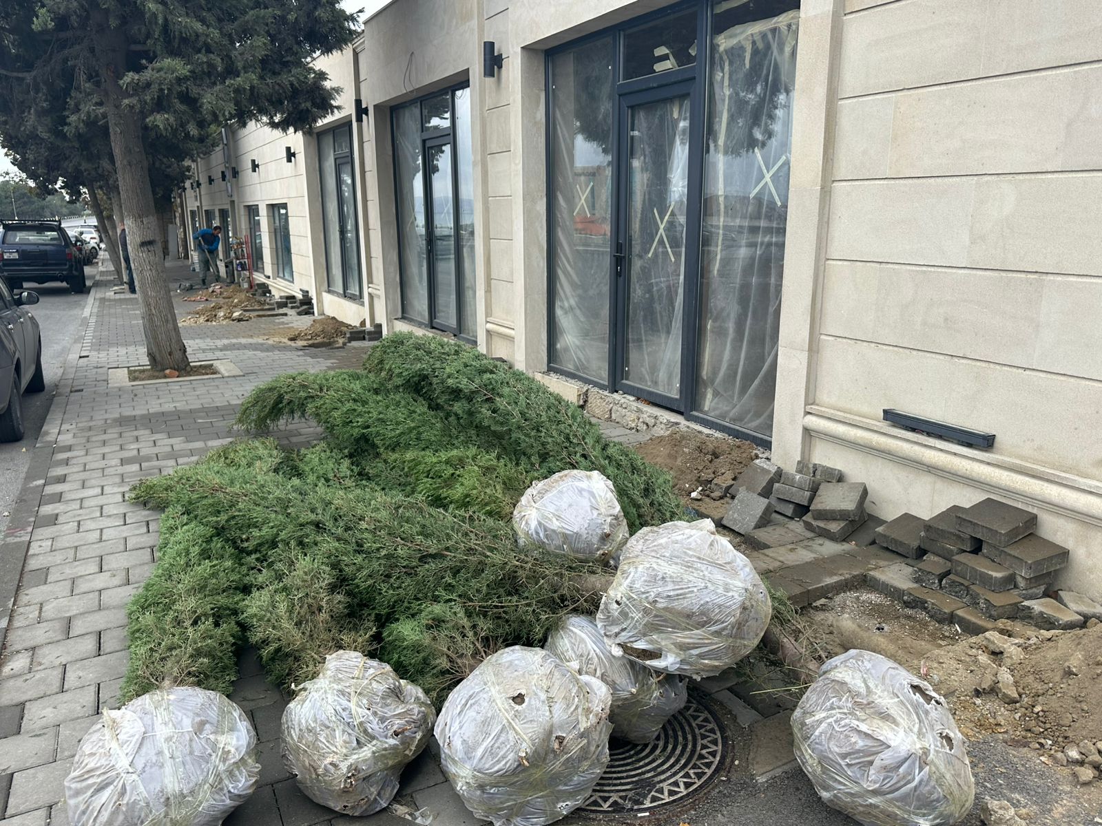 Xətaidə ağacəkmə aksiyasına start verildi - FOTOLAR