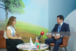 APA 20 yaşını COP29-da qeyd etdi - FOTOLAR